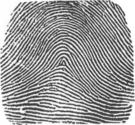 FINGERPRINTING!