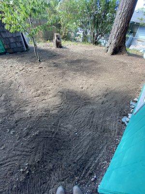 Here is a project that we had completed a Sod lawn installation. BEFORE: