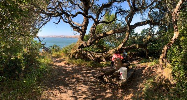 Hidden Picnic Ground. If you don't mind having a picnic without a grill in a secluded area. Provides great view of Tomales Bay with privacy.