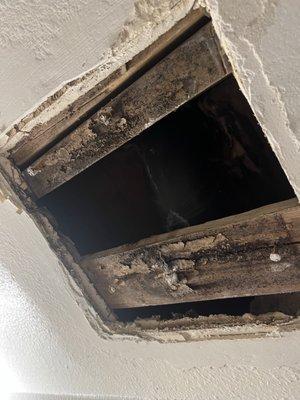 Extreme water damage and mold growth in ceiling