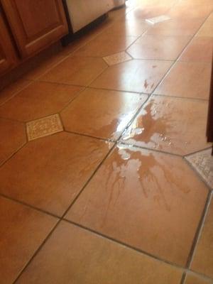 Unfortunately I didn't  take pictures before I cleaned up the messes. This is 1 of the puddles that he left in the kitchen.