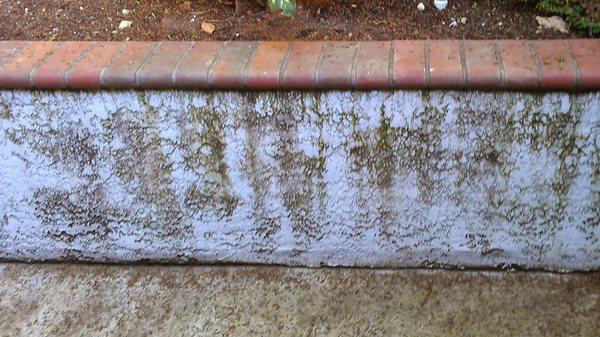 Residential Wall Before Photo - Residential Pressure Washing Riverside CA