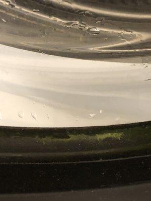 Mold in washer