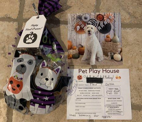 The goody bag and picture that came from the Howl-o-ween party. He also gets a daily report card which I adore!