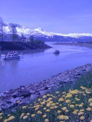 Valdez Harbor