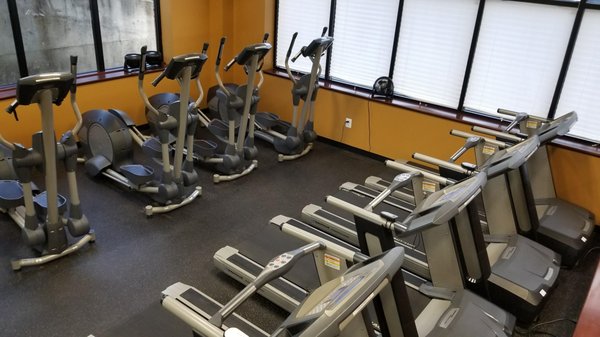 Treadmills, ellipticals and recumbent bikes are all available for cardio training