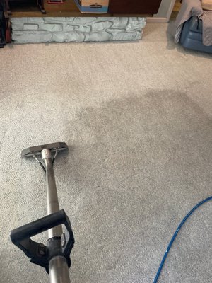 Carpet cleaning