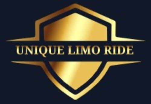 Unique Limo Ride