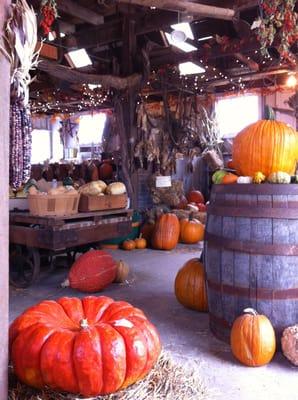 Inside the barn