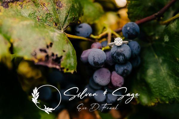 Engagement ring photo in a vineyard.