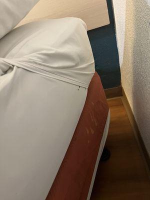 Bed bugs all throughout the bed