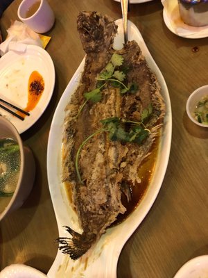 Fried whole flounder