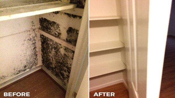 Bedroom closet mold removal