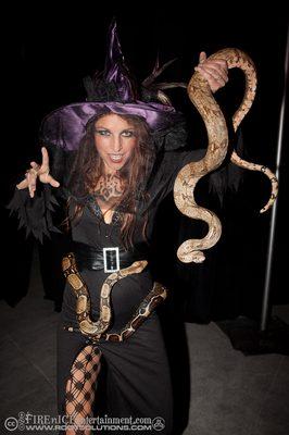 Snake Charmer