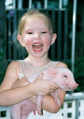 piglets are fun