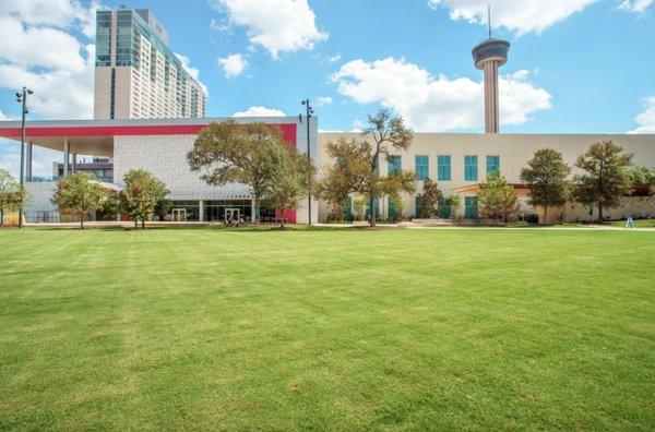 The Great Lawn - where some of San Antonio's largest festivals and events are held.