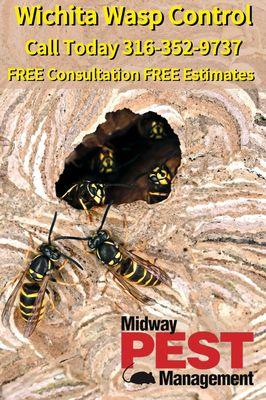 Pest control in the Wichita Kansas Area Midway Pest Management