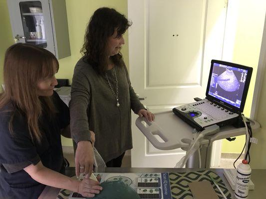 Scanning with our state of the art veterinary ultrasound machine.