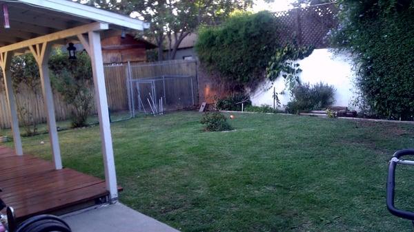 Backyard