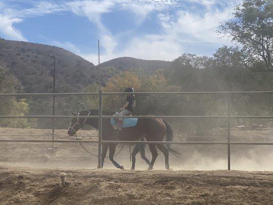 Kids riding lessons all ages