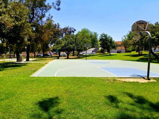 Basketball court