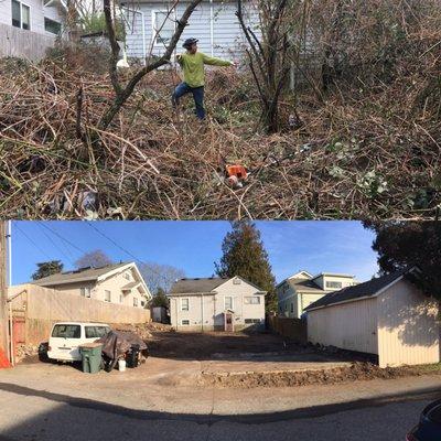 Before and after of a Landscape Clean out on a Seattle property