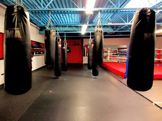 Punching Bags: 4 heavy bags, 4 Thai bags, 2 speed bag platorms + Uppercut bag! Develop speed, and power!