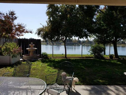 Backyard with a view!