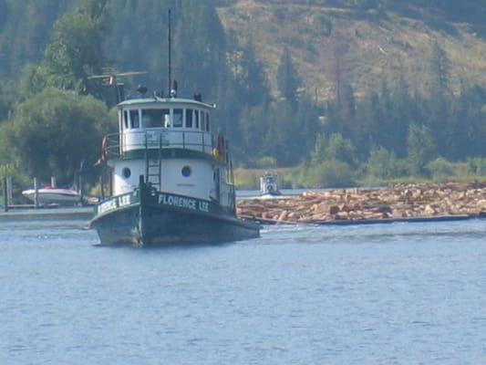 Monitoring the Logging-Patch