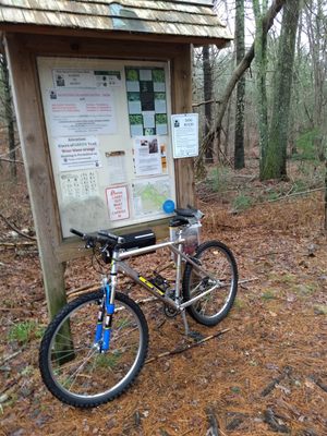 At DRNT trail