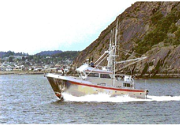 Shoreline Marine Electric