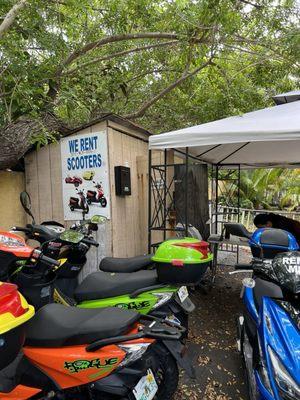 Sunset Scooter Rentals