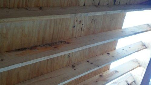 Termite damaged lumber used in construction