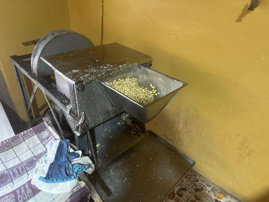 Maize in the grinder! Getting ready to make tortillas!