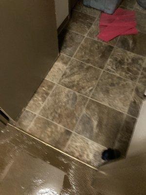 Our apartment being Flooded for the second time due to washer.