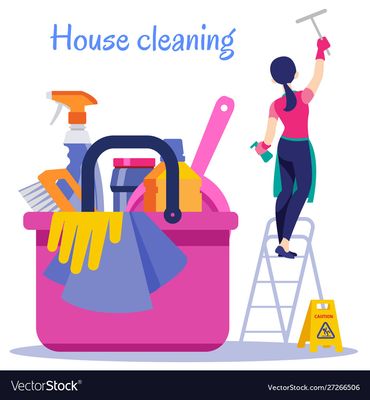 We will clean your house very well.