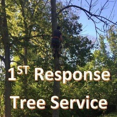 1st Response Tree Service