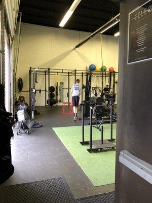 Free weights, barbells, exercise balls and TRXs all neatly arranged