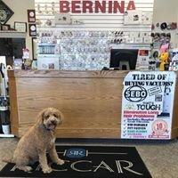 Walter our shop dog! Stop by and say hi!