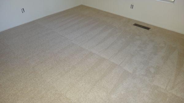 Professional Carpet Cleaning