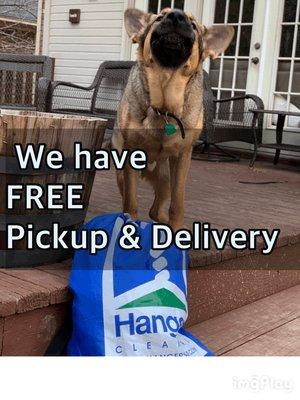 Scout tells everyone we have FREE pickup & delivery!