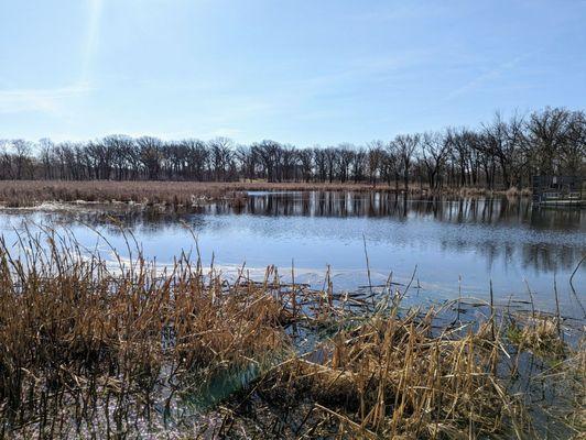 Lincoln Marsh Natural Area