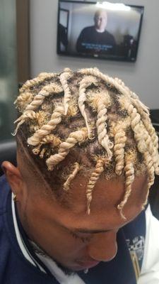 Double strand twist