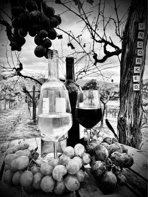 black & white vineyard