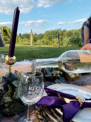 Winery glam picnic experience