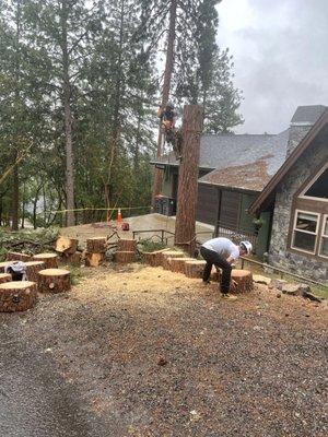 Helping a customer remove a tree that had fallen on their driveway