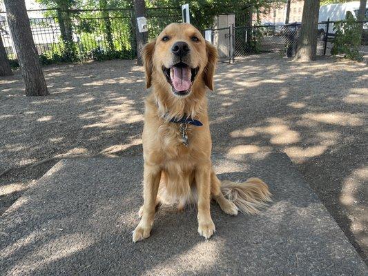 Union Street Dog Park