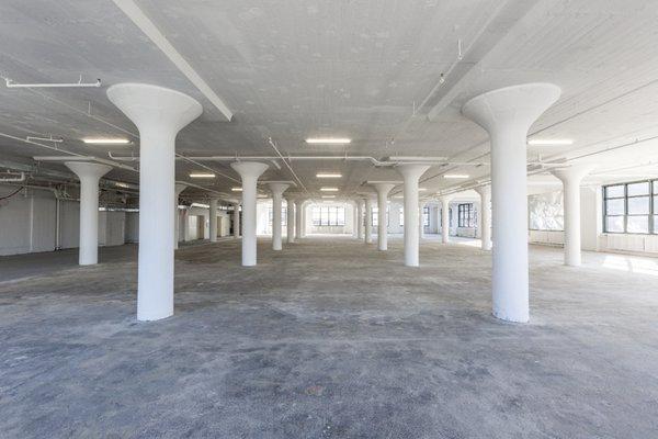 Expansive White Box Loft