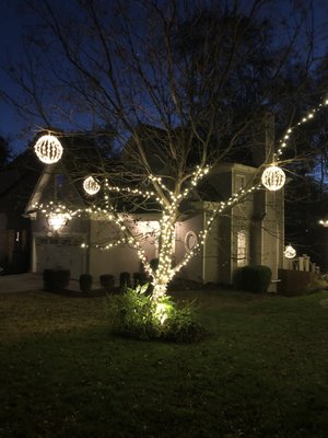 How beautiful is this pecan tree that our team lit up? Scroll through our page to see the team working on stringing the lights!