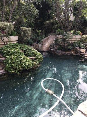 See all the shrubs and trees around the pool?? All algae- and debris-makers if not properly taken care of. But all no problem for Hieu.